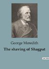 The shaving of Shagpat