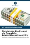 Notleidende Kredite und die finanzielle Lebensfähigkeit von MFIs