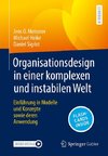 Organisationsdesign in einer komplexen und instabilen Welt