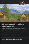 Clonazione di conifere ornamentali