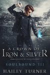 A Crown of Iron & Silver