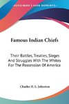 Famous Indian Chiefs