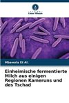 Einheimische fermentierte Milch aus einigen Regionen Kameruns und des Tschad