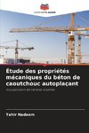 Étude des propriétés mécaniques du béton de caoutchouc autoplaçant