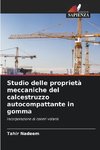 Studio delle proprietà meccaniche del calcestruzzo autocompattante in gomma