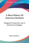 A Short History Of American Literature