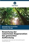 Bewertung der natürlichen Regeneration bei gemischter Aufforstung