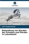 Behandlung von Wunden bei Primaten und Pferden in Lubumbashi