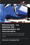 Microscopia - La bellezza del macroscopico nel microscopico