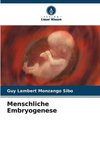 Menschliche Embryogenese