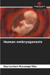 Human embryogenesis