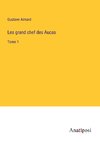 Les grand chef des Aucas