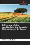 Efficiency of rice seedbeds in the Koussin-lélé perimeter in Benin