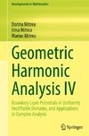 Geometric Harmonic Analysis IV