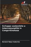 Sviluppo sostenibile e intercomunalità in Congo-Kinshasa