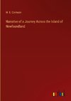 Narrative of a Journey Across the Island of Newfoundland