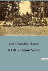 A Little Union Scout