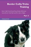 Border Collie Tricks Training Border Collie Tricks & Games Training Tracker &  Workbook.  Includes