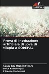 Prova di incubazione artificiale di uova di tilapia a SODEPAL