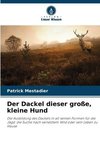 Der Dackel dieser große, kleine Hund