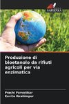 Produzione di bioetanolo da rifiuti agricoli per via enzimatica