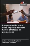 Rapporto sullo stato delle imprese nel Nord Kivu e strategia di promozione