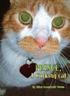 Prince, A Working cat