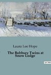 The Bobbsey Twins at Snow Lodge