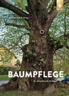 Baumpflege