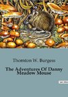 The Adventures Of Danny Meadow Mouse