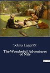 The Wonderful Adventures of Nils