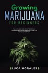 Growing Marijuana for Beginners