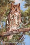 How Wise Old Owl Got His Name