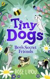 Tiny Dogs: Bea's Secret Friends