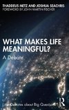 What Makes Life Meaningful?