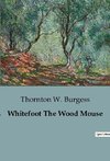 Whitefoot The Wood Mouse