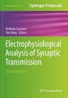 Electrophysiological Analysis of Synaptic Transmission