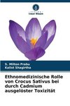 Ethnomedizinische Rolle von Crocus Sativus bei durch Cadmium ausgelöster Toxizität