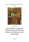 Die Orthodoxe Liturgie als Erfahrungsraum des Heiligen Geistes, des Erbarmens und des Friedens