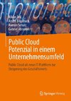 Public Cloud Potenzial in einem Unternehmensumfeld