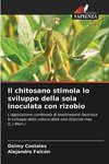 Il chitosano stimola lo sviluppo della soia inoculata con rizobio