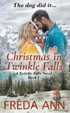 Christmas in Twinkle Falls