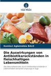 Die Auswirkungen von Antibiotikarückständen in fleischhaltigen Lebensmitteln