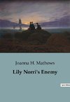 Lily Norri's Enemy