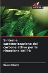 Sintesi e caratterizzazione del carbone attivo per la rimozione del Pb