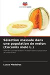 Sélection massale dans une population de melon (Cucumis melo L.)