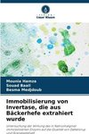 Immobilisierung von Invertase, die aus Bäckerhefe extrahiert wurde