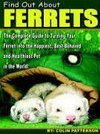 Find Out About Ferrets