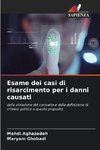 Esame dei casi di risarcimento per i danni causati