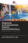 Diagnostic environnemental, Impacts environnementaux